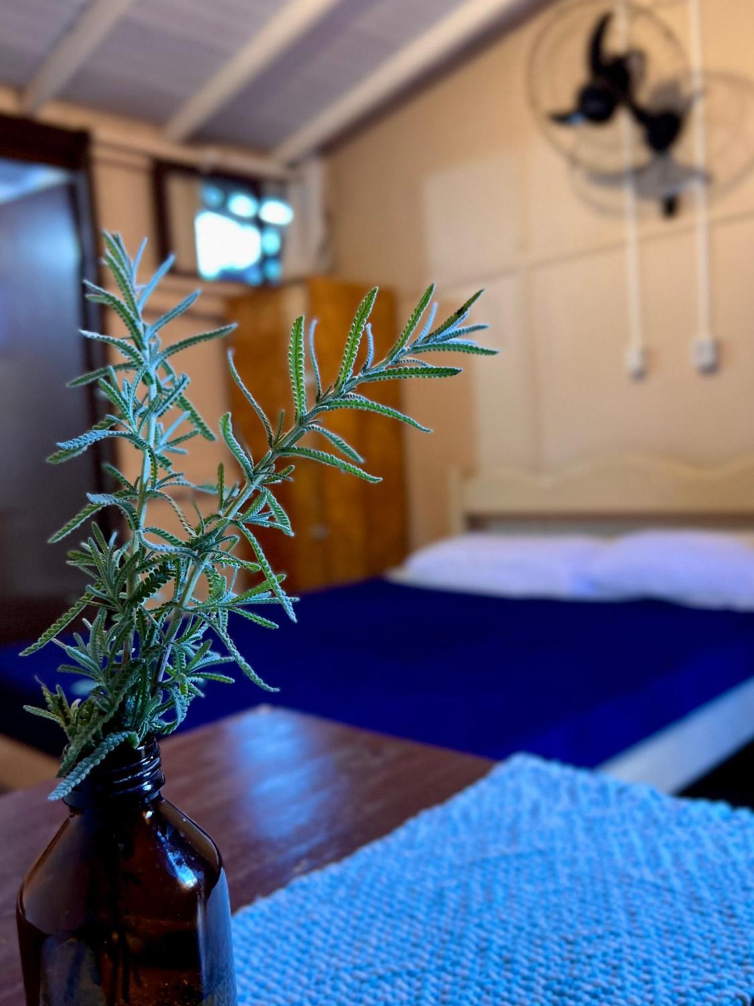 Hostel Antonio Pescador - Centro Da Guarda do Embaú Pokoj fotografie